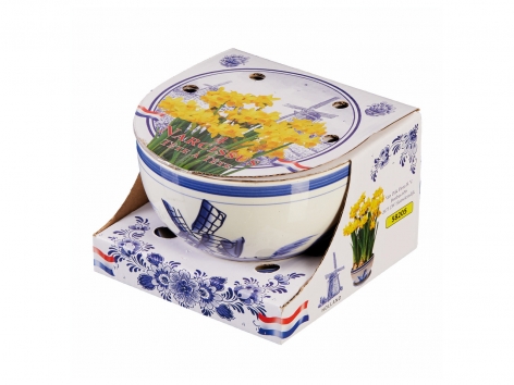 Bulbes de fleurs en pot deco