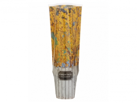 Arbuste de jardin