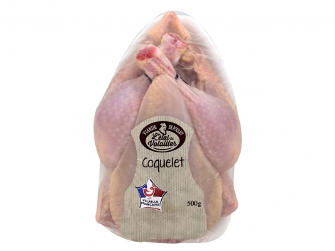 Coquelet