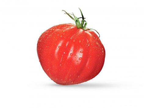 Tomate Ancienne rouge - Origine France