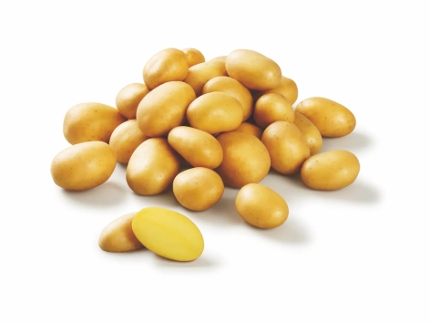 Pomme de terre primeur