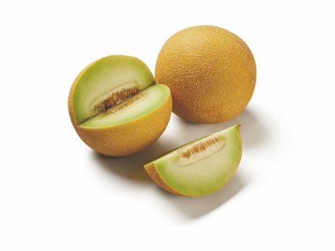 Melon Galia