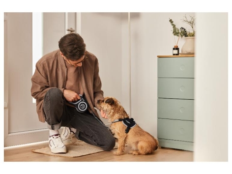 Laisse à enrouleur rétractable, 5 m