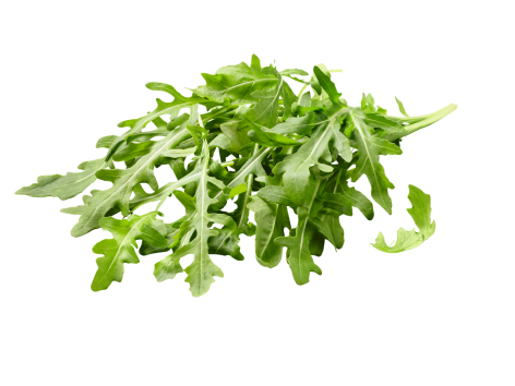 Roquette