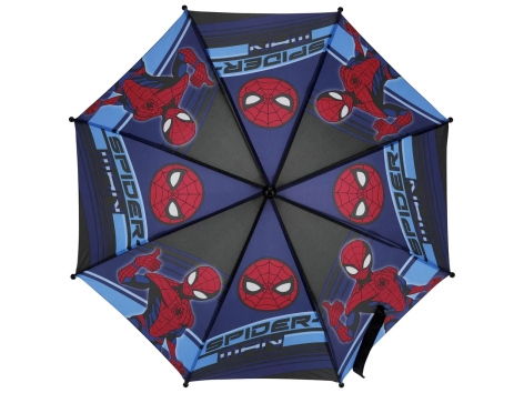 Parapluie licence